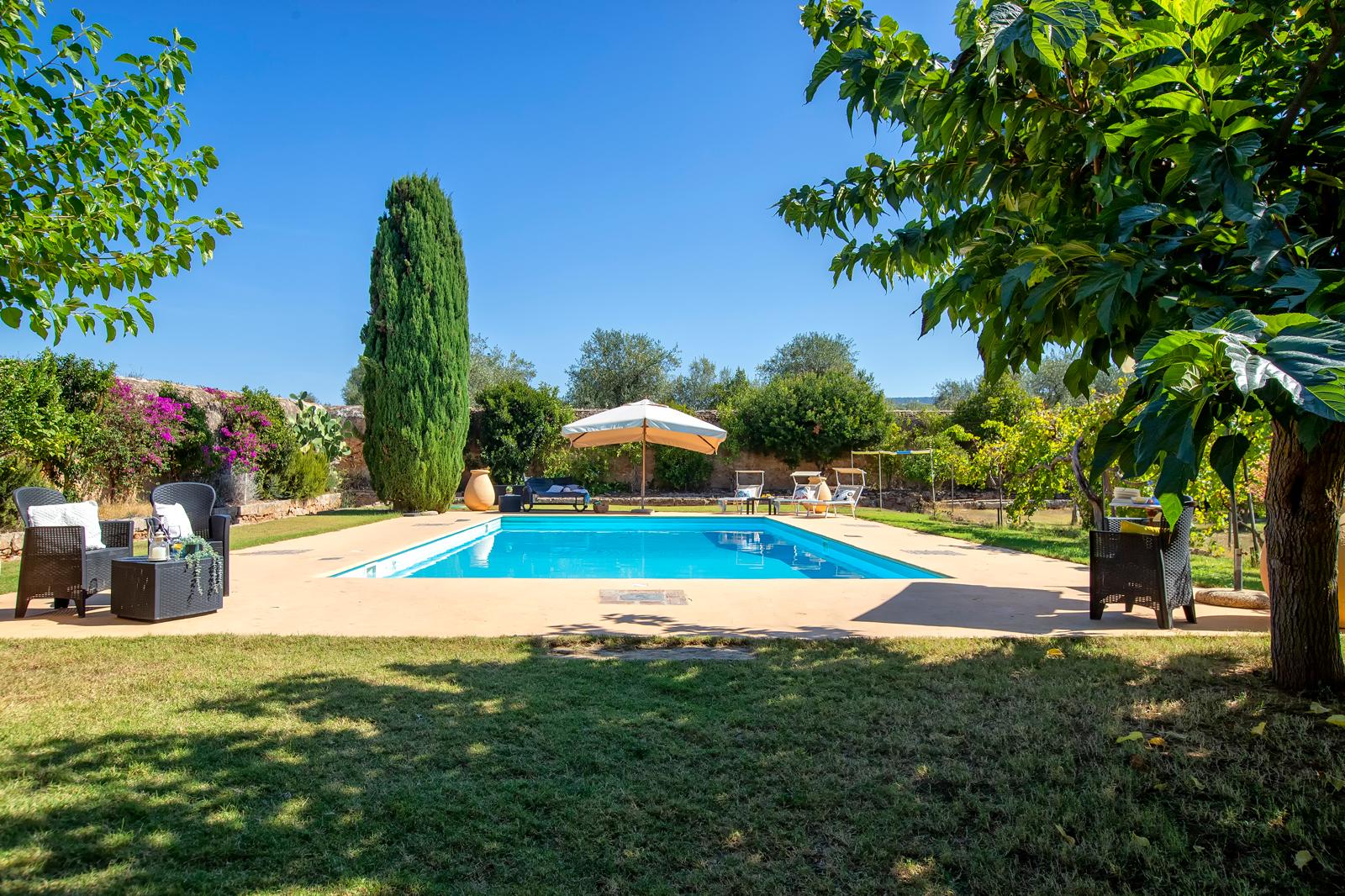 La piscina privata di Villa del Conte tra ulivi e cipressi