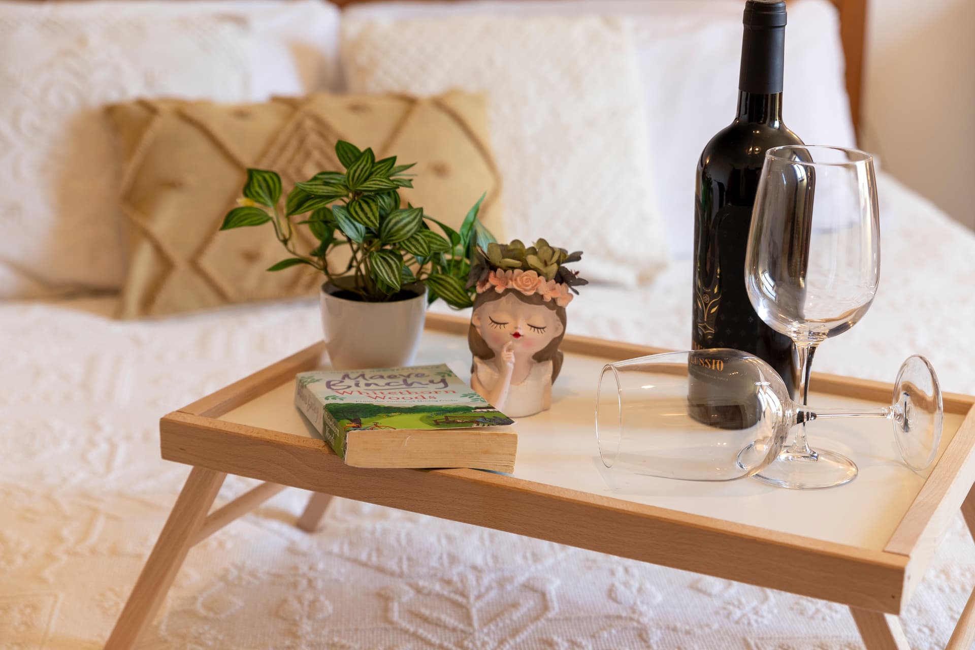 Vino, libri e piante sul vassoio della camera di Villa Contessa